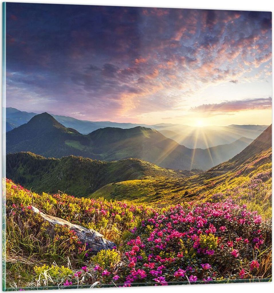 Bilder auf glas - Gebirge Wiese Landschaft Wald - 60x60cm - Glasbilder - Wandbilder - Kunstdruck - zum Aufhängen bereit - Wanddekoration aus Glas ...