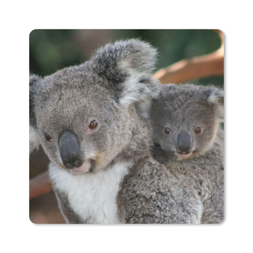 MuchoWow Mauspad Mousepad Koalas - Vater - Sohn - Jungen - Mädchen 30x30 cm - Mousepads - Maus Mat - Pad - Mausunterlage - Gaming