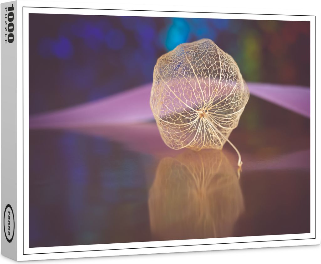 raxxa Premium-Puzzle "Physalis", 1000 Teile