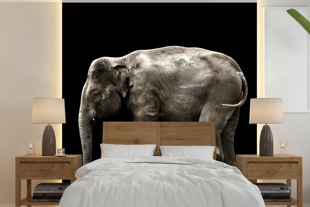 MuchoWow Fototapete für Wohnzimmer oder Schlafzimmer Wandtapete Vinyl Motivtapete Elefant - Wilde Tiere - Schwarz - 300x300 cm