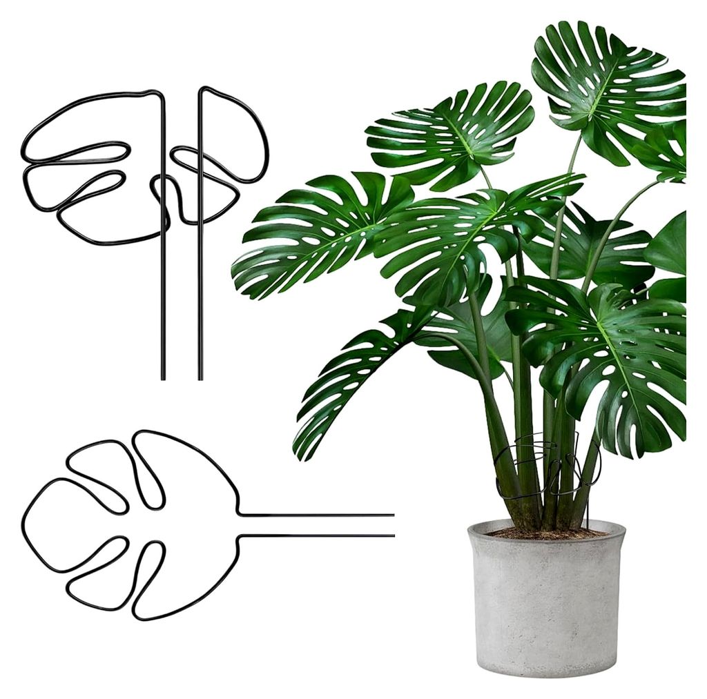 Pflanzenstütze, 2er Set für Zimmerpflanzen, Pflanzenstielhalter für Alocasia und Monstera (Schwarz)