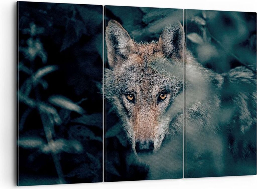 Bild auf Leinwand - Leinwandbild - 3 Teile - Wolf Wald Raubtier - 105x70cm - Wand Bild - Wanddeko - Wandbilder - Leinwanddruck - Bilder - Wanddekor...