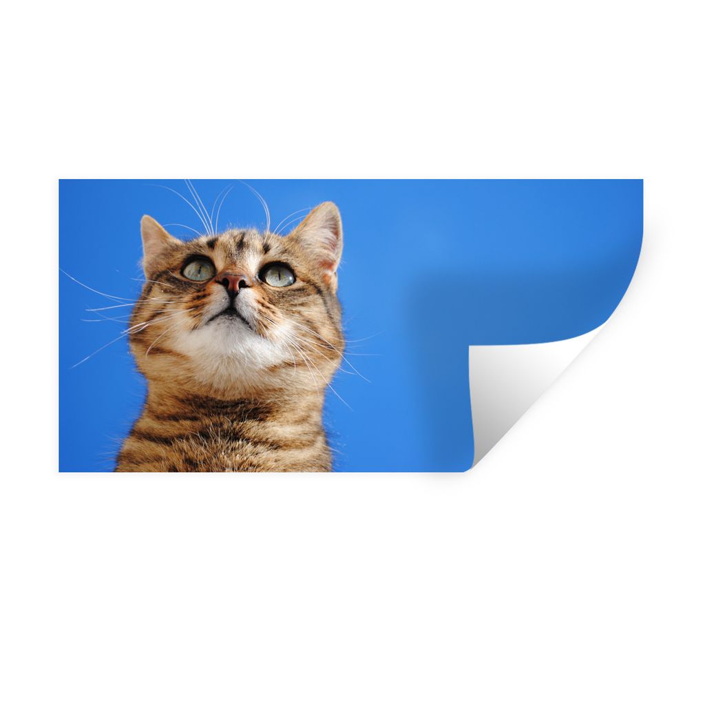 MuchoWow Wandtattoo Wandsticker Wandaufkleber Katze - Braun - Luft - Mädchen - Jungen - Kinder 160x80 cm Selbstklebend und Repositionierbar - St...