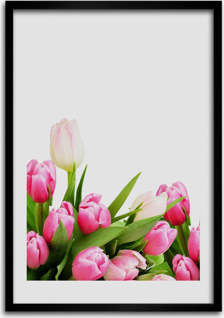 Bild - Bilderrahmen - 50 cm x 70 cm - MDF - Rahmen - Wandkunst Rosa Tulpen