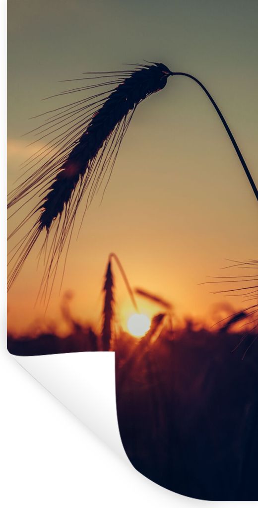 MuchoWow Wandtattoo Wandsticker Wandaufkleber Gras - Herbst - Sonnenuntergang - Jahreszeiten - Landschaft 20x40 cm Selbstklebend und Repositionie...