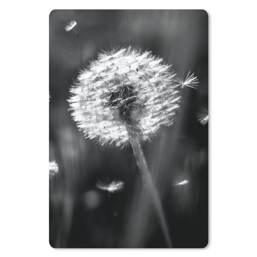 MuchoWow Mauspad Mousepad Löwenzahn - Schwarz - Weiß - Pflanze 18x27 cm - Mousepads - Maus Mat - Pad - Mausunterlage