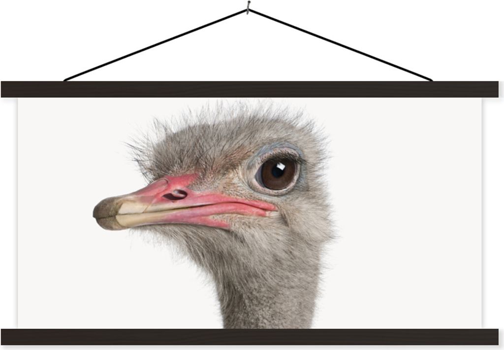 MuchoWow Textilposter Strauß - Tiere - Kinder - Jungen - Mädchen - Vogel 60x30 cm mit schwarzem Rahmen - Textilien