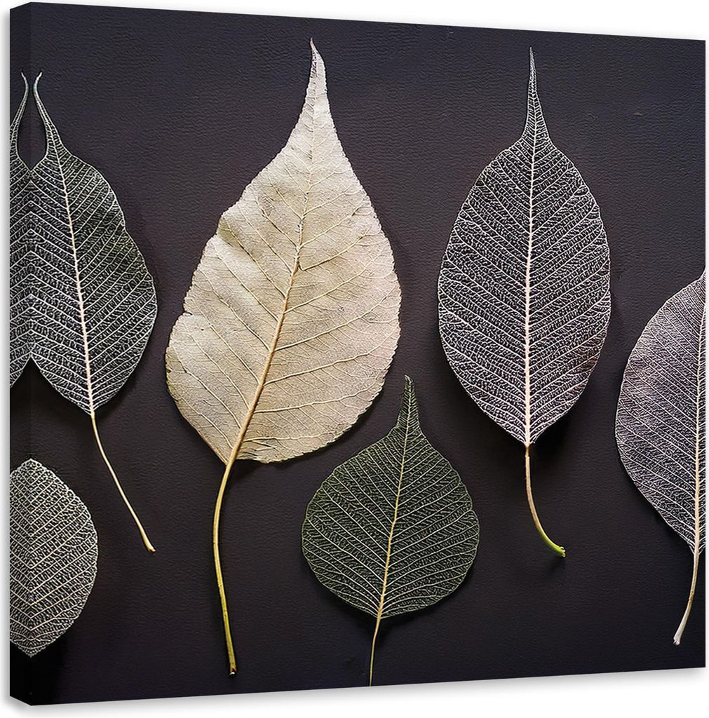 Leinwandbild Minimalismus hinterlässt Glamour-Pflanzen 30x30 Feeby Grau bild für die wand bereit zum aufhängen