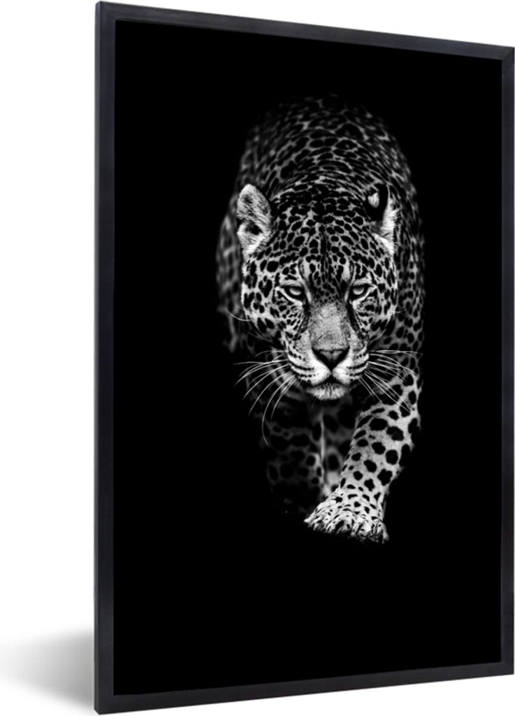 MuchoWow Gerahmtes Poster Tiere - Schwarz - Leopard - Weiß - Wild 40x60 cm - Poster mit Schwarzem Bilderrahmen Wandposter Rahmen Foto Bilder - P...