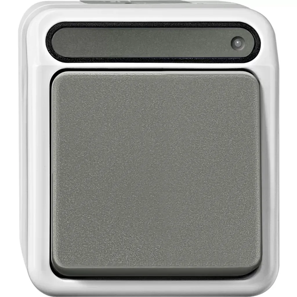 Interrupteur de Contrôle Sécurisé Merten Aquastar 2P MEG3102-8029 Gris