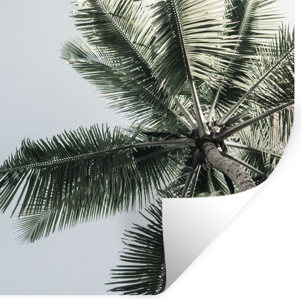 MuchoWow Wandtattoo Wandsticker Wandaufkleber Palme - Tropisch - Sommer 50x50 cm Selbstklebend und Repositionierbar - Selbstklebend - Fototapeten