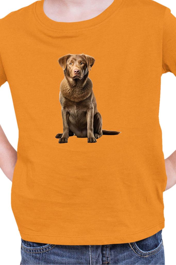 Kinder T-Shirt Dogs Breeds Chesapeake Bay Retriever Dog Breed 007, 7-8 Jahr - 128 / Orange