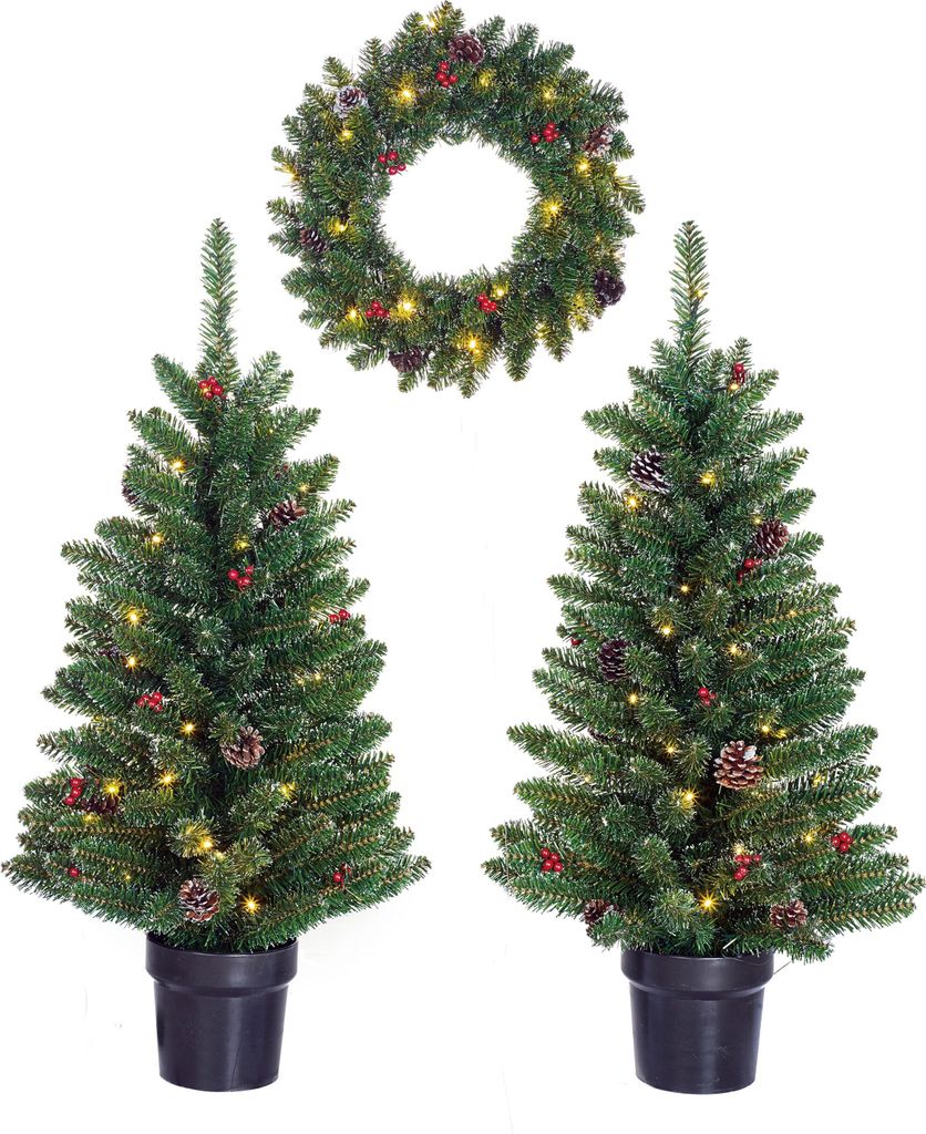 Black Box Trees Creston Set mit 2 Weihnachtsbäumen und 1 Produktbild 