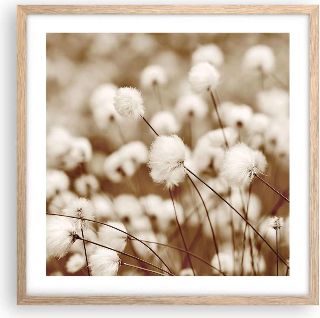 Gerahmtes Poster - Rahmen in heller Eiche - Baumwolle Boho Wollig - 50x50 cm - Wand Bild - Wanddeko - Wandbilder - Kunstposter - Wandposter - Bilde...