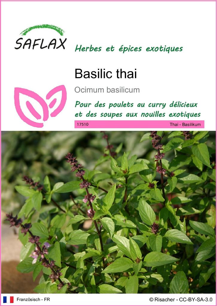 SAFLAX  - Basilic thai - 200 graines - Ocimum Image du produit 