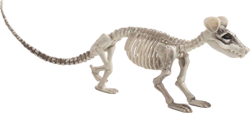 Halloween-Skelett-Tierdekoration, gruseliger Katzen-/Hunde-/Vogel-/Ratten-/Ziegenkopf, Kunststoffknochen für Hof, Friedhof, Halloween-Dekor