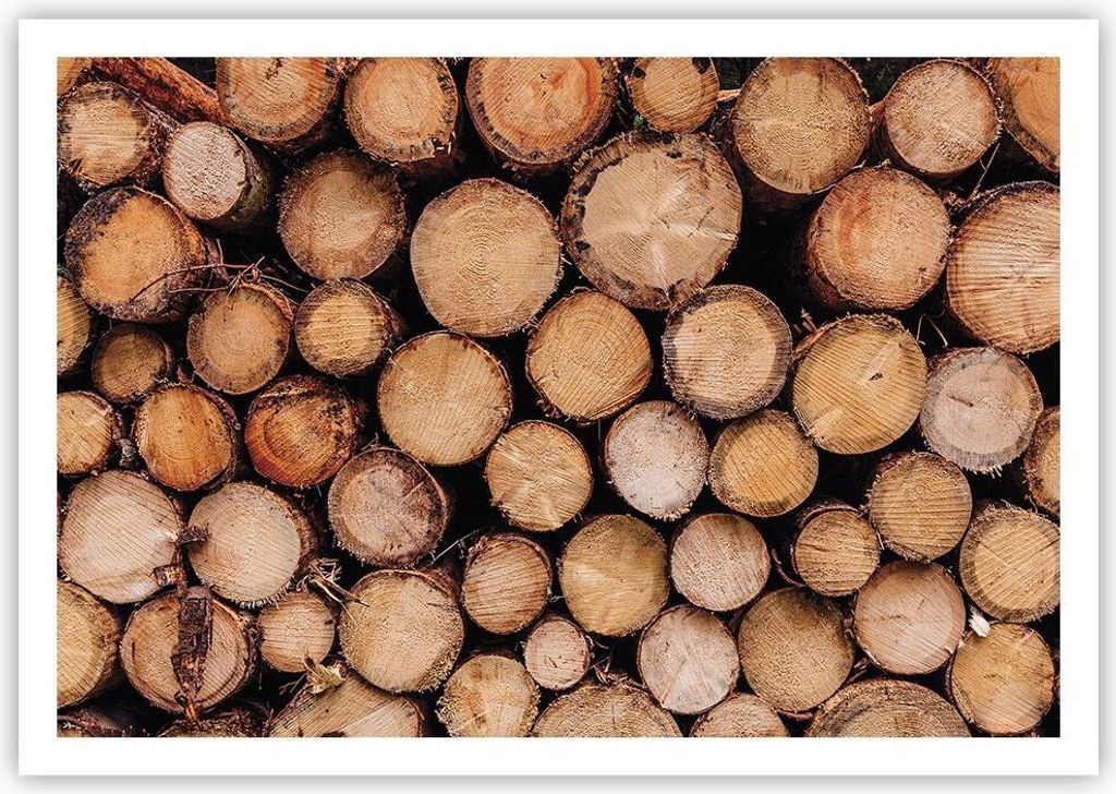 Poster - Poster ohne Rahmen - Holz Baumstämme Stämme - 100x70 cm - Wand Bild - Wanddeko - Wandbilder - Kunstposter - Wandposter - Bilder - Kunstd...