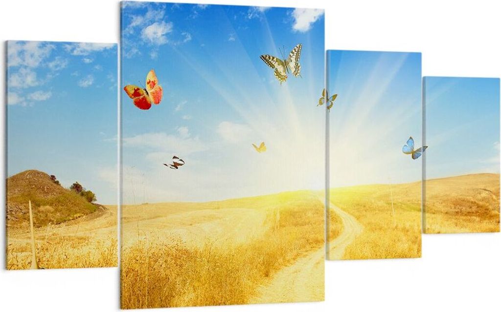 Bild auf Leinwand - Leinwandbild - Schmetterlinge Wiese Produktbild 