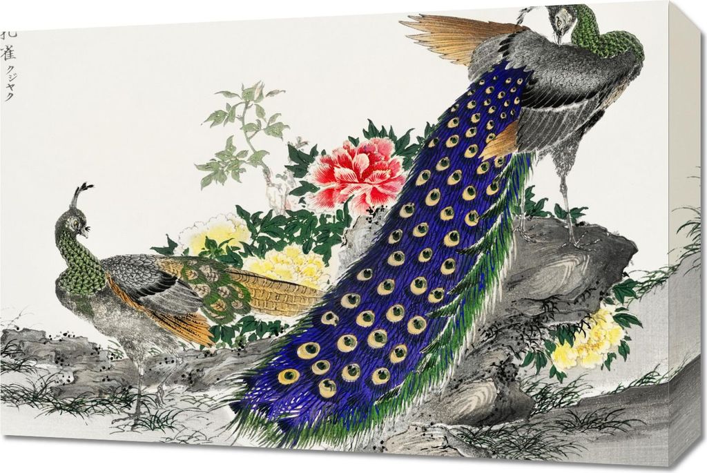 Bild 60x40cm Pfau und Pfingstrose, Japanischer Vintage Kashu für das Wohnzimmer