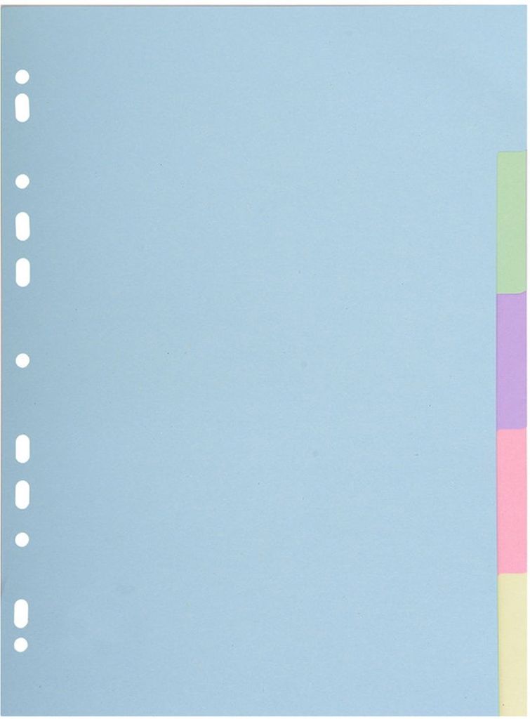 EXACOMPTA  1605E  EXACOMPTA Karton-Register, DIN A4, Zdjęcie produktu 