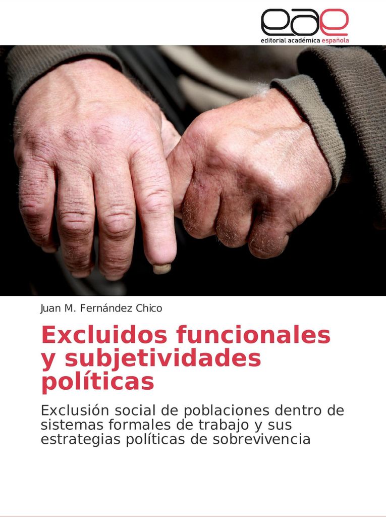 Excluidos funcionales y subjetividades políticas