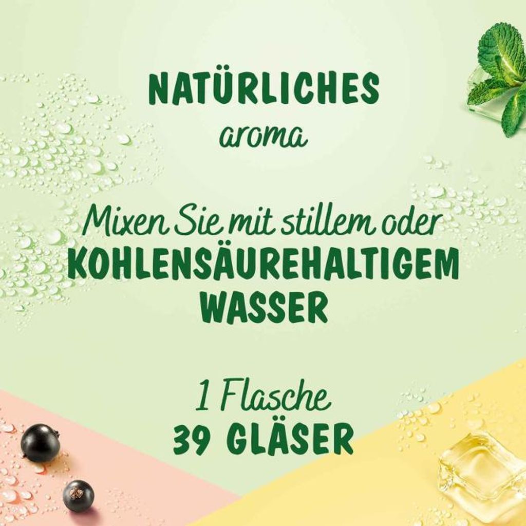 Teisseire Getränke-Sirup Lime/Limette 600ml - Intensiv im Produktbild 