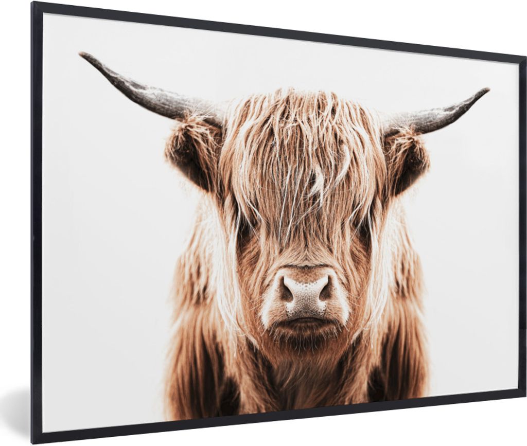 MuchoWow Gerahmtes Poster Schottischer Highlander - Kuh - Stier 90x60 cm - Poster mit Schwarzem Bilderrahmen Wandposter Rahmen Foto Bilder - Foto...