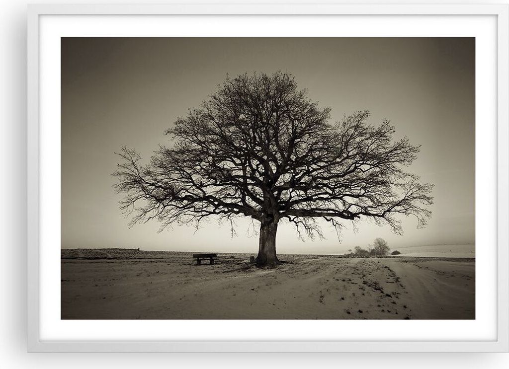 Gerahmtes Poster - Weißer Rahmen - Baum Schnee Sepia - 70x50 cm - Wand Bild - Wanddeko - Wandbilder - Kunstposter - Wandposter - Bilderrahmen - Bi...