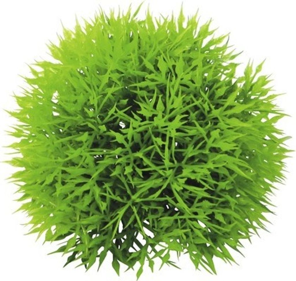 Kunststoff-Wasserpflanze Deluxe Small Nr. 9 12 cm