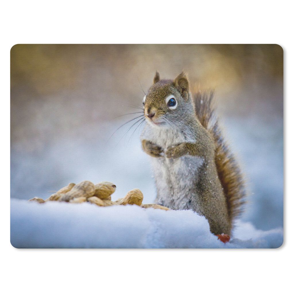 MuchoWow Mauspad Mousepad Eichhörnchen - Nüsse - Schnee - Winter - Nagetiere - Jahreszeiten 40x30 cm - Mousepads - Maus Mat - Pad - Mausunterla...
