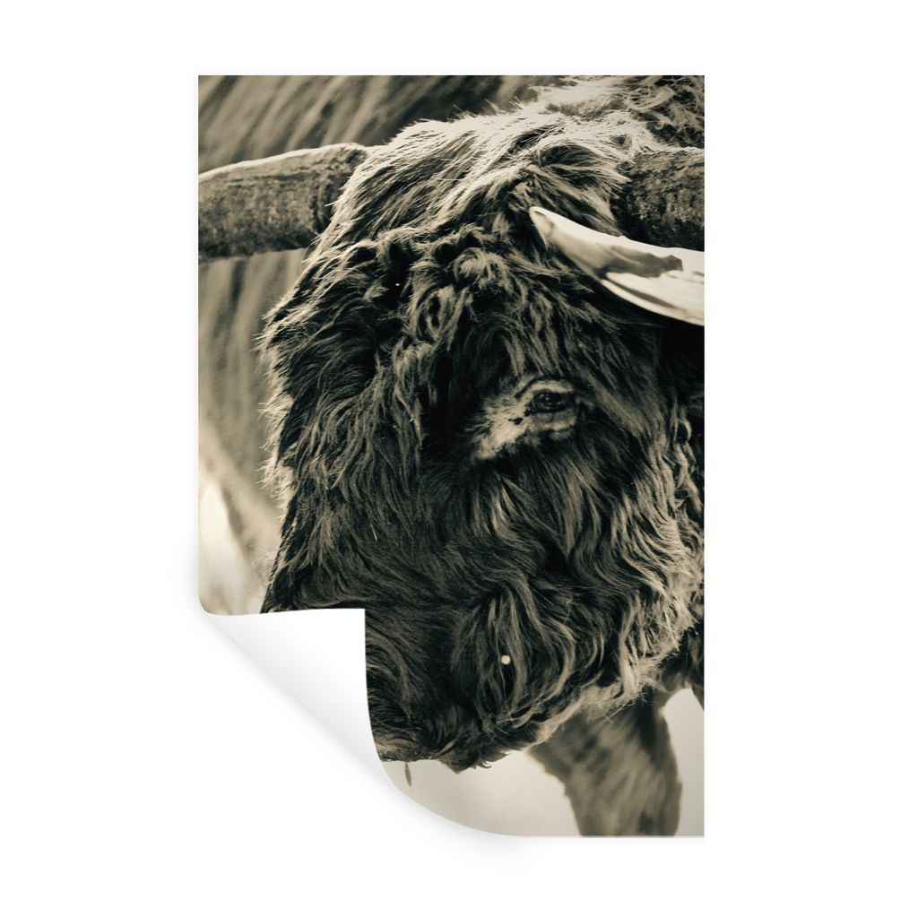 MuchoWow Wandtattoo Wandsticker Wandaufkleber Schottischer Highlander - Schnee - Hörner 80x120 cm Selbstklebend und Repositionierbar - Repositio...