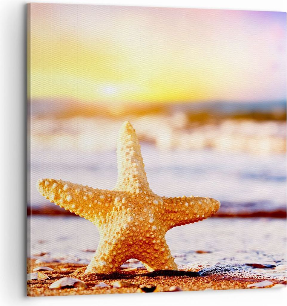 Bild auf Leinwand - Leinwandbild - Starfish Strand Sand Ozean - 60x60cm - Wand Bild - Wanddeko - Leinwanddruck - Bilder - Kunstdruck - Wanddekorati...
