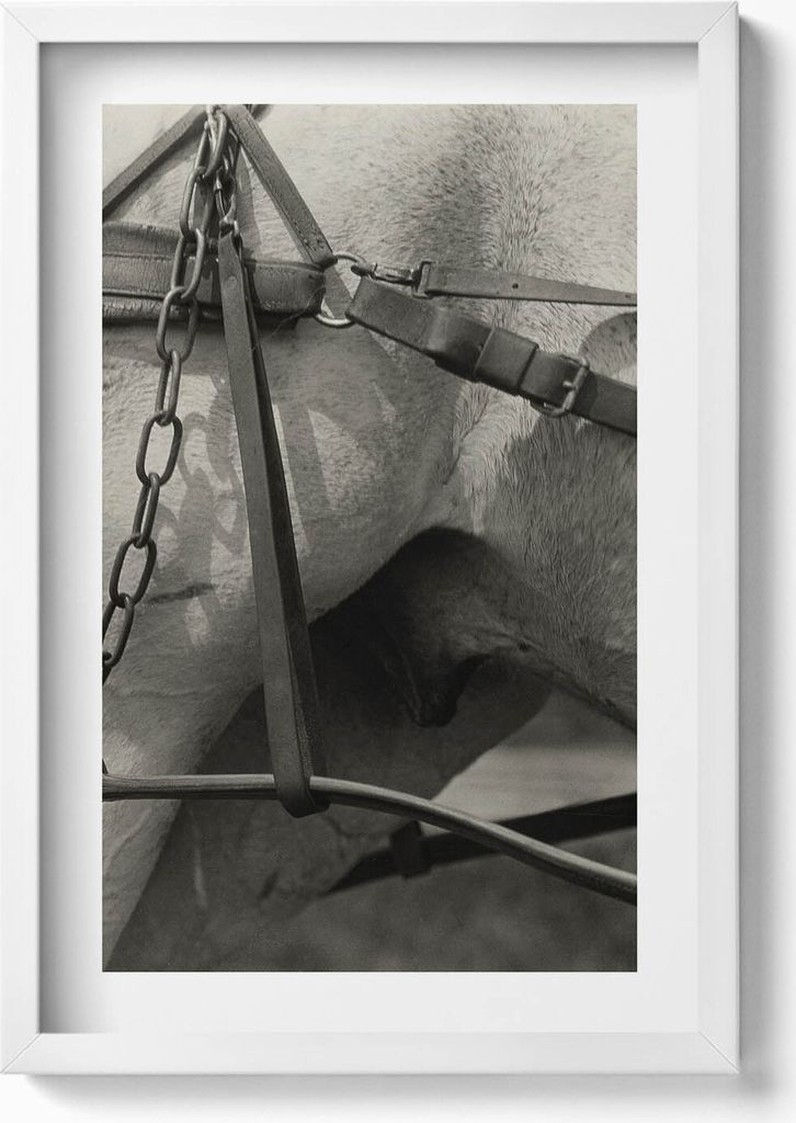 Nahaufnahme eines Pferdegeschirrs– Wandbild mit Rahmen – Gerahmtes Bild – Wanddekoration – 40x60 cm – Weiß