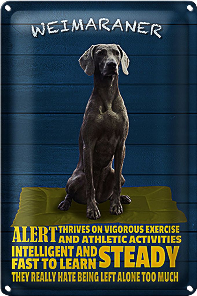 Blechschild Spruch 40x30cm Weimaraner Hund alert and steady