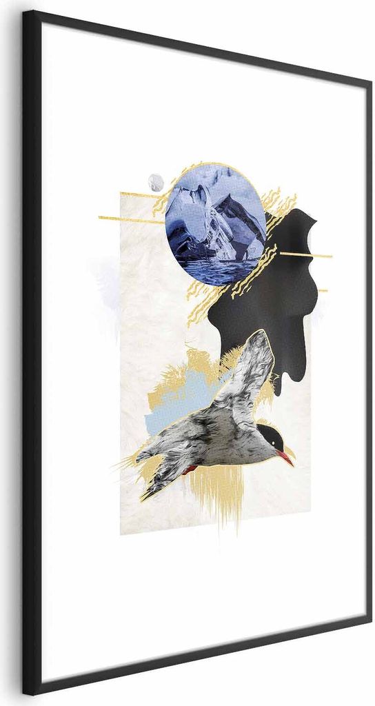 Posterpapier Poster - Antarctic Tern 29.7x42 cm Tiere g-A-0164-ao-a
