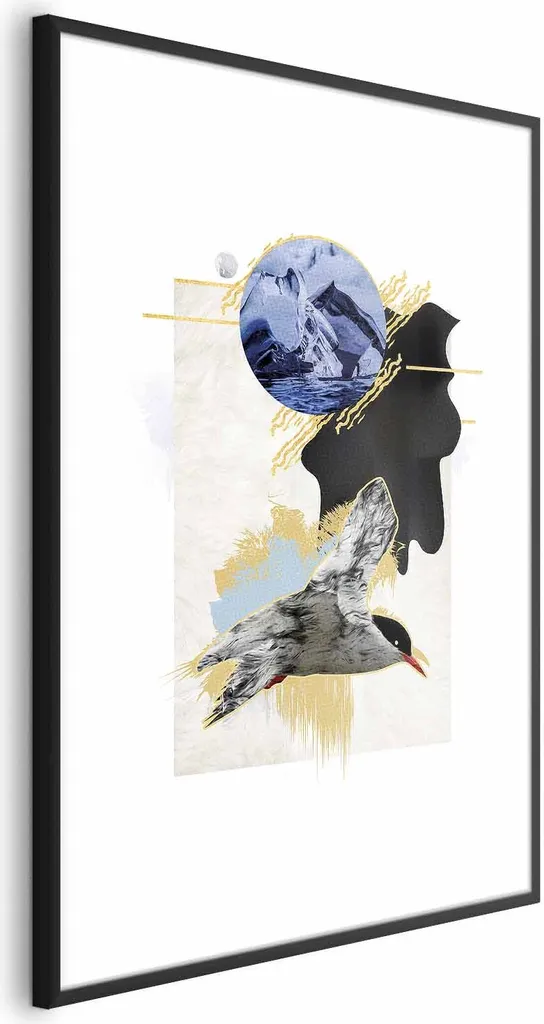 Poster Sterna Antartica 40x60 Cornice Nera Elegante con Margine