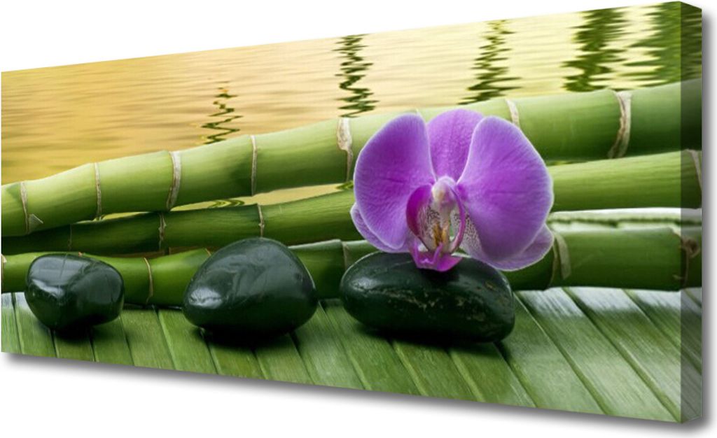 Tulup Leinwand-Bilder 125x50 Wandbild Canvas Kunstdruck Blume Steine Bambusrohre Spa