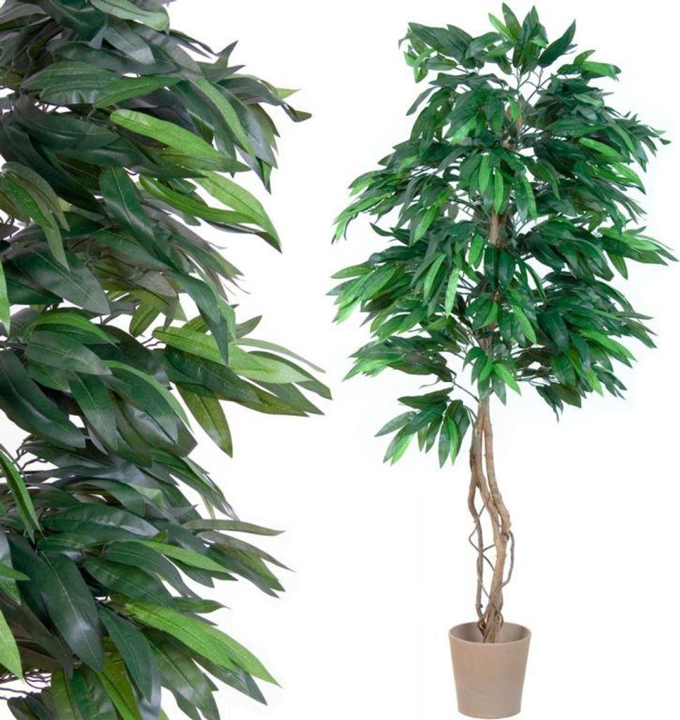 PLANTASIA Umělá rostlina strom, mango, 180 cm Obrázek produktu 