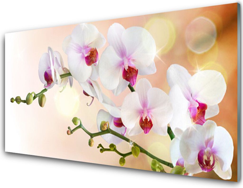 Küchenrückwand aus Glas 100x50cm Spritzschutz Blumen Pflanzen