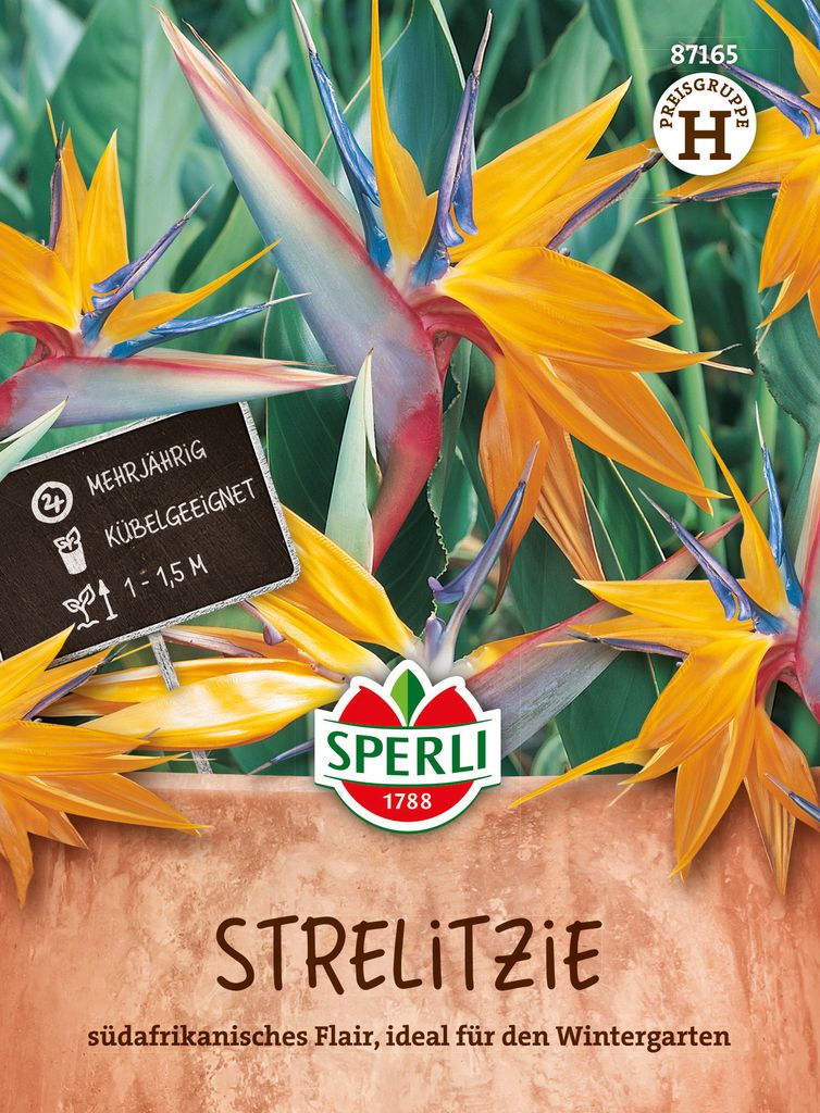 Paradiesvogelblume (Strelitzia reginae) | Streliziasamen von Sperli