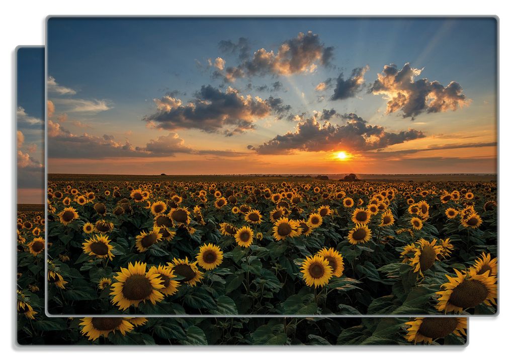 Wallario Frühstücksbrettchen 2er Set aus Glas, je 20 x 30 cm, mit rutschfesten Füßen, Motiv Sonnenblumenwiese vor Wolken mit Sonnenuntergang