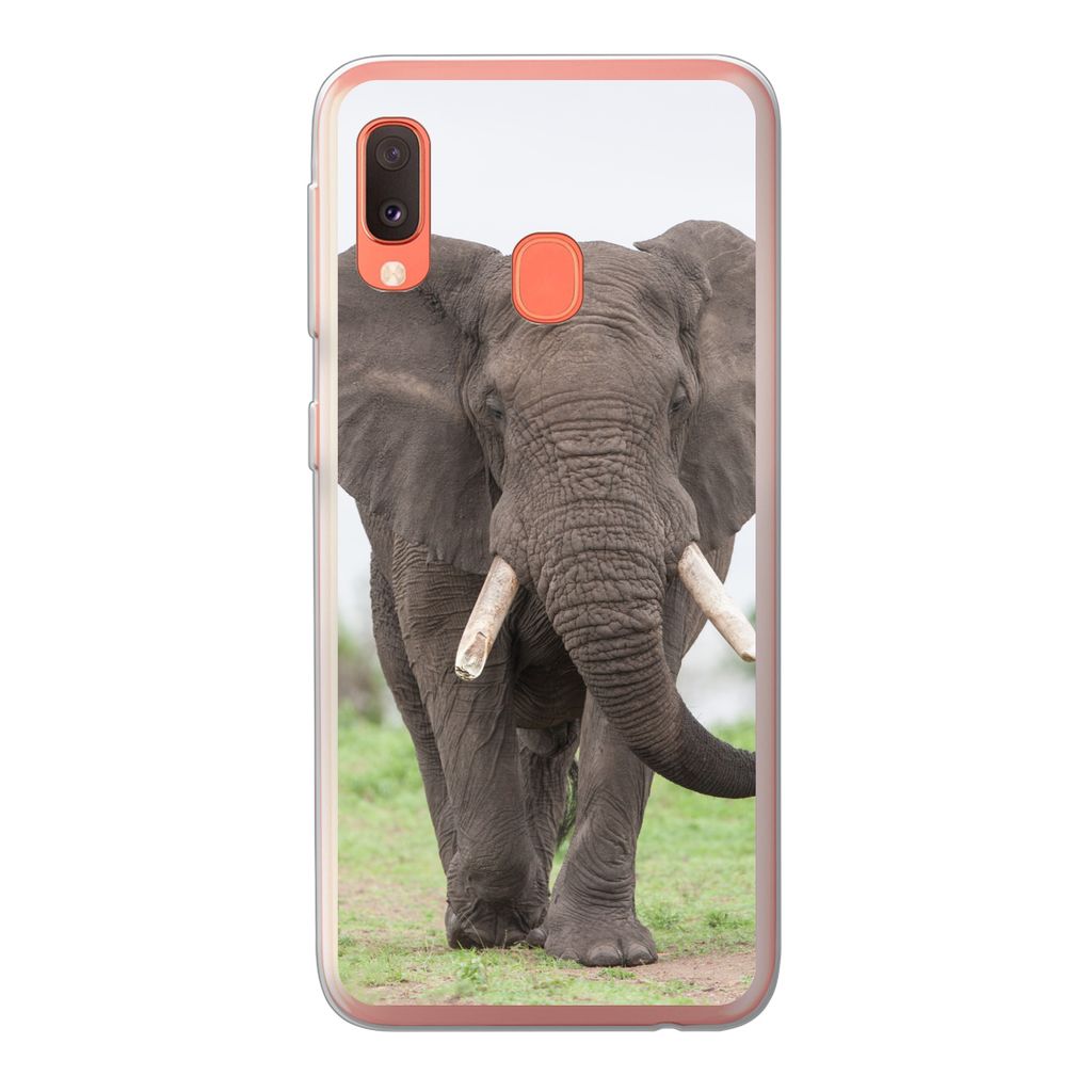 MuchoWow Handyhülle Schutzhülle Hülle für Samsung Galaxy A20e Elefant - Tiere - Gras - Natur Silikon Softcase Handy Hülle - Abdeckung