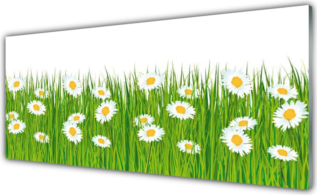 Acrylglasbilder 125x50 Wandbild Druck Gras Gänseblümchen Natur