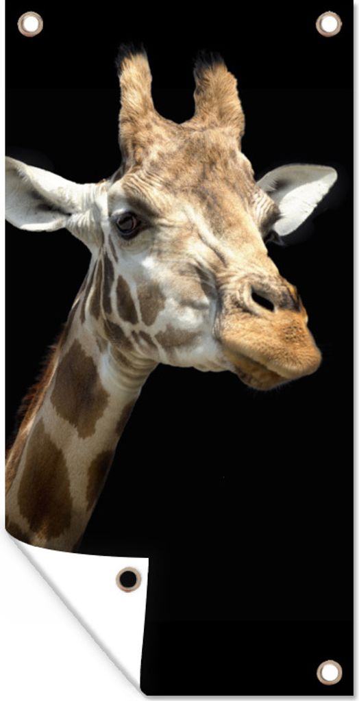 MuchoWow 80x160 cm Outdoor-Poster Gartendeko Sichtschutz Garten Poster für den Garten Giraffenkopf für schwarzen Hintergrund