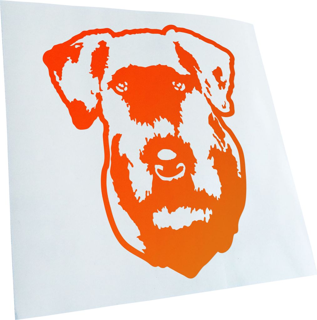 Kiwistar - Autoaufkleber - Cesky Terrier Hund - Orange - 12x10cm - Aufkleber für Auto, Laptop, Fahrrad, LKW, Motorrad mehrfarbig JDM Decal Racing