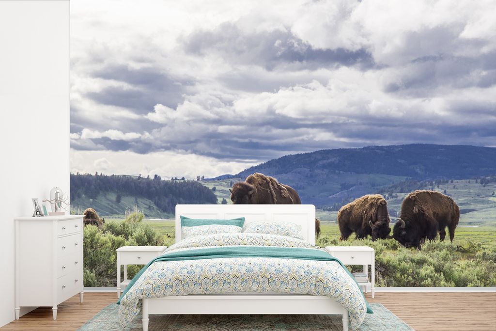 MuchoWow Fototapete für Wohnzimmer oder Schlafzimmer Wandtapete Vinyl Motivtapete Bison auf einer Wiese in Wyoming - 525x350 cm - Das Hintergrun...