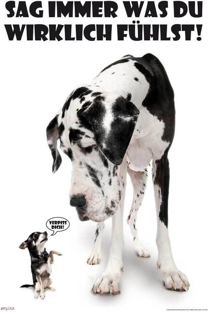 Hunde Poster Sag immer was du denkst Produktbild 