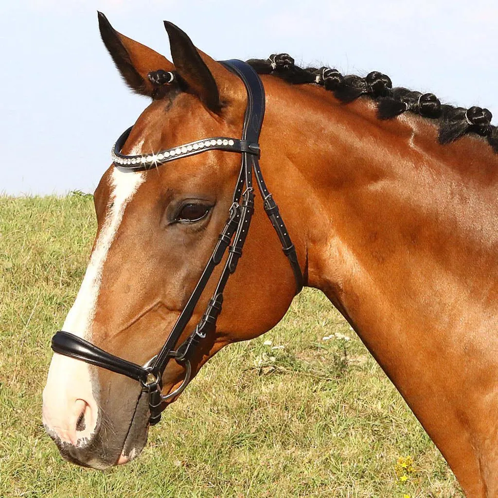 Filet Euroriding Hannover La Rochelle Noir Cob en Cuir Haut de Gamme