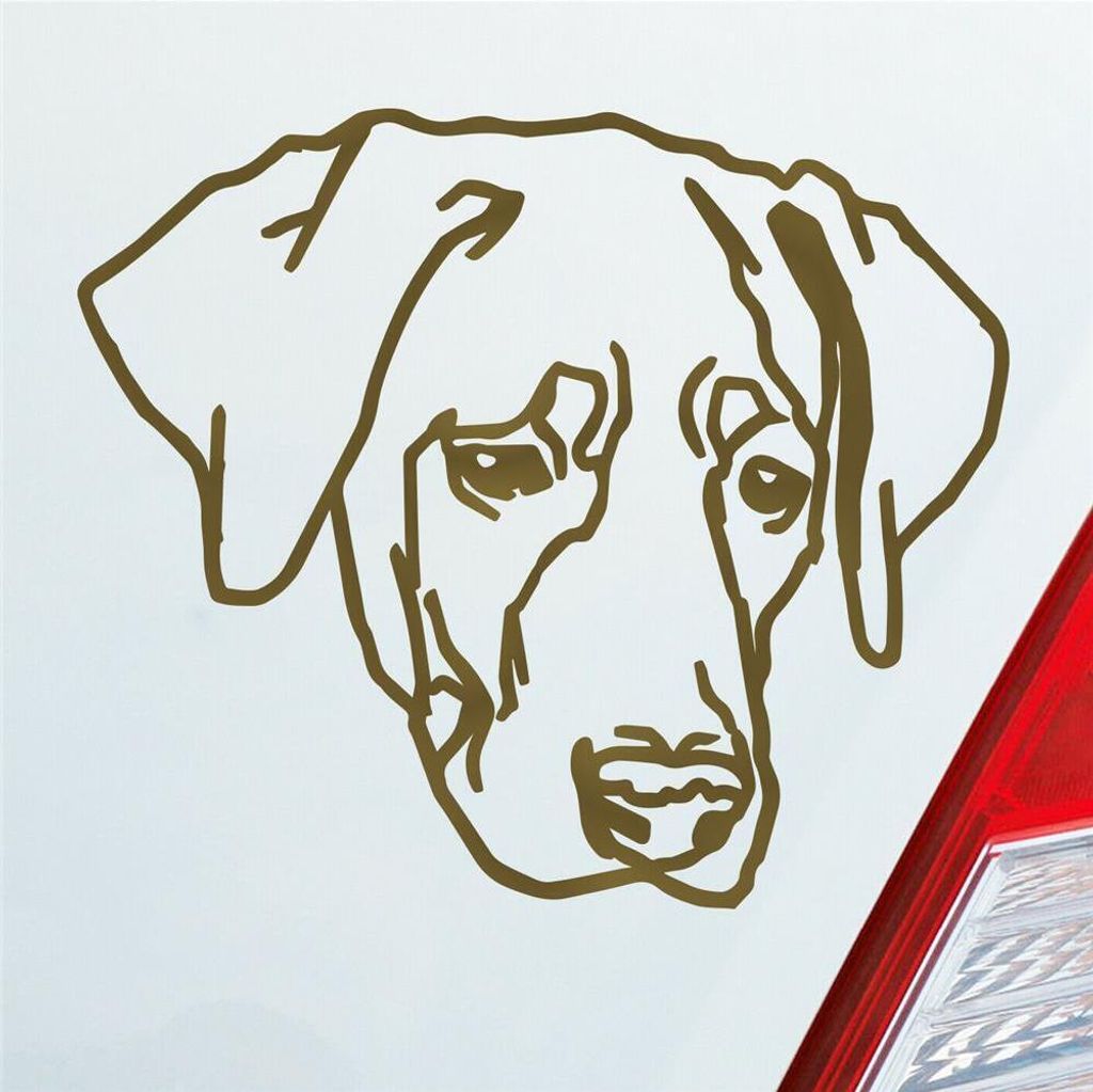 Auto Aufkleber Labrador Labi Labbi Hund Dog 12x10 cm Gold Sticker Heckscheibenaufkleber