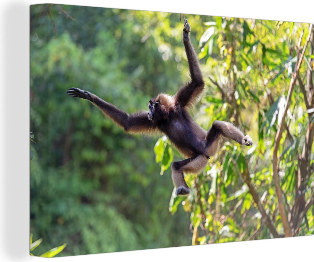 OneMillionCanvasses - Leinwandbilder - 150x100 cm, Springender Affe im Dschungel, Wandbilder Kunstdruck Wanddekoration